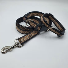 Flossie Collar and Lead  Set **OFFER** Choice of Colours Available