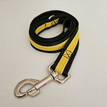 Tyson & Teddie Collar and Lead Set **OFFER** Choice of Colours Available