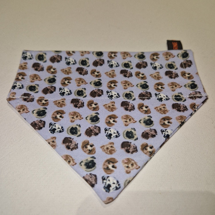 Dogs Faces Thread on the Collar Bandana