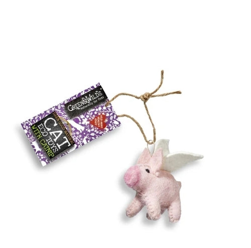Piggie Sue with Catnip
