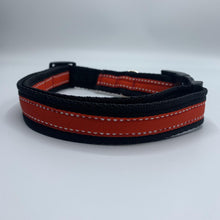 Tyson & Teddie Collar - Choice of Colours Available