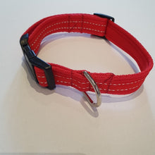 Tyson & Teddie Collar - Choice of Colours Available