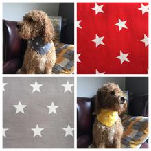 Singapore Star Tie Bandana - Various Colours Available