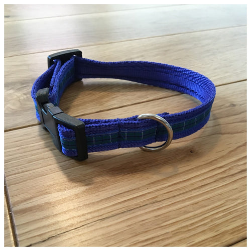 Poochberry Collar - Choice of Colours Available
