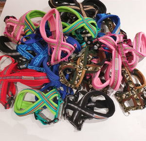 Flossie Harness - Choice of Colours