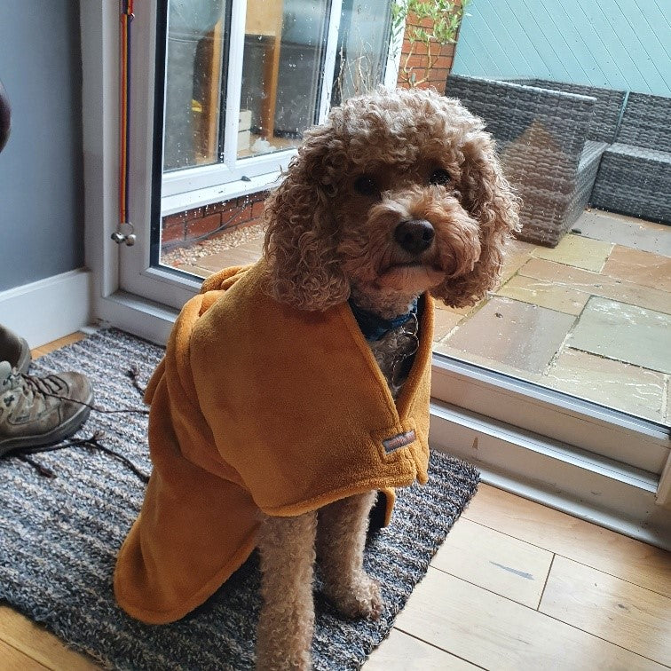 Dog drying robe sales