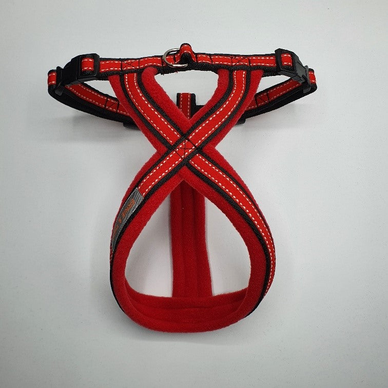 Tyson & Teddie Harness - Choice of Colours