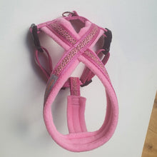 Flossie Harness - Choice of Colours
