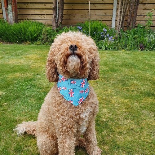 Jubilee Tie Bandanas