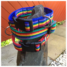 Ralph Rainbow Collar - Choice of Colours Available